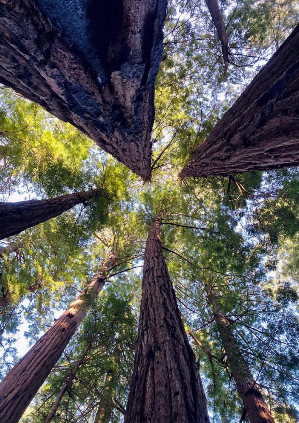 第一财经：“碳”路未来-低碳旅游指引手册_第2页