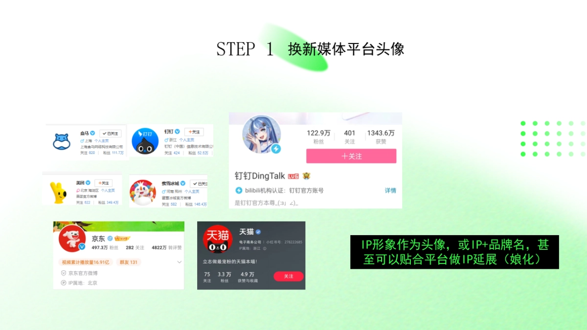 电熊猫IP打造方案_第4页