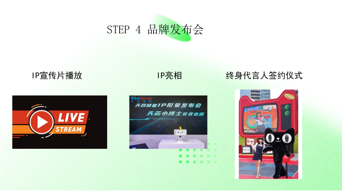 电熊猫IP打造方案_第7页