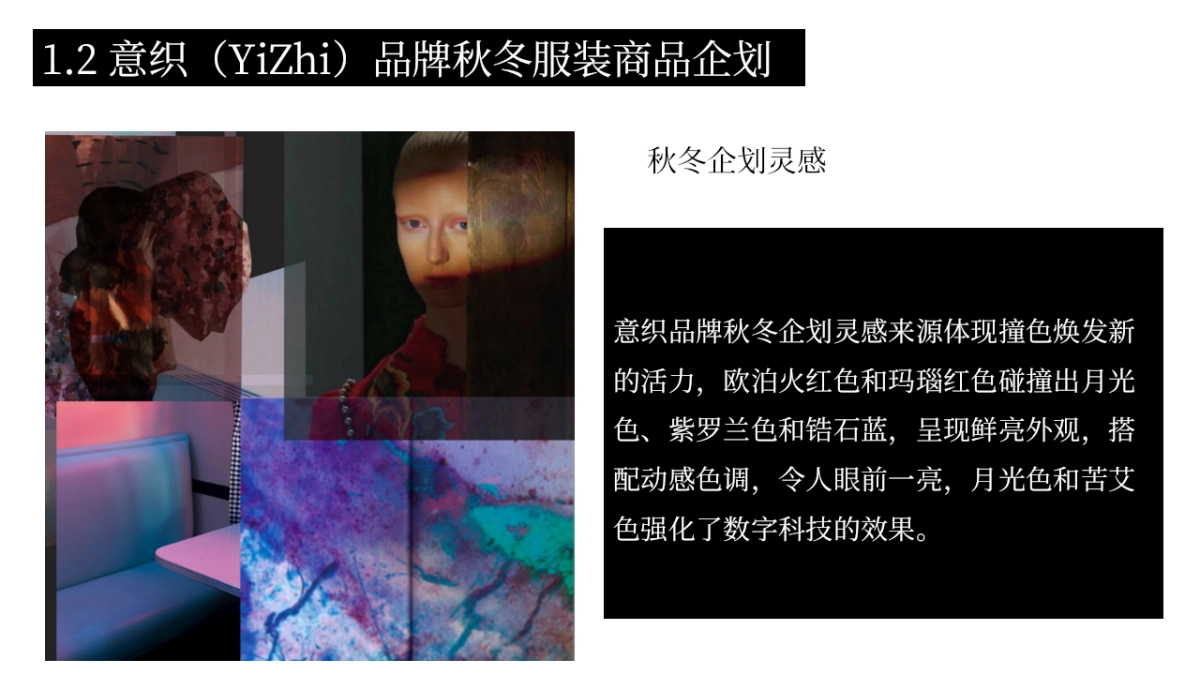 服装品牌商品企划案例_第10页