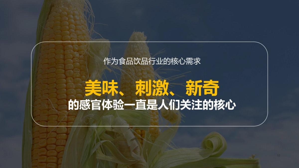 香糯玉米社交媒体推广方案_第10页