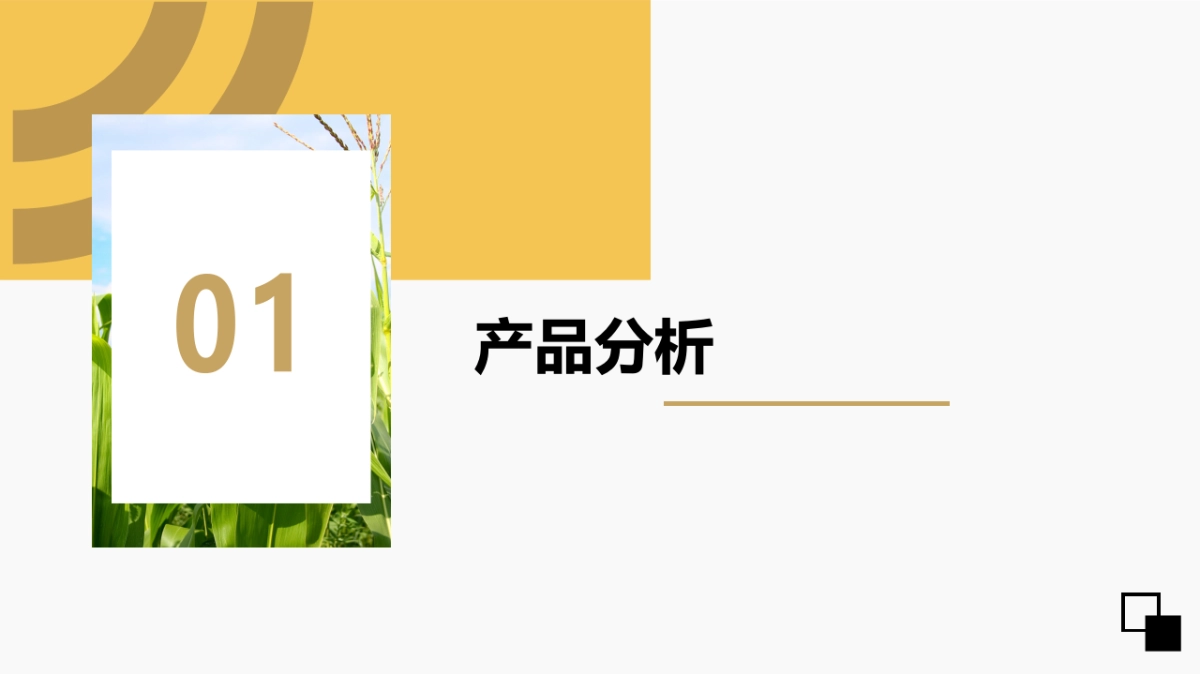 香糯玉米社交媒体推广方案_第3页