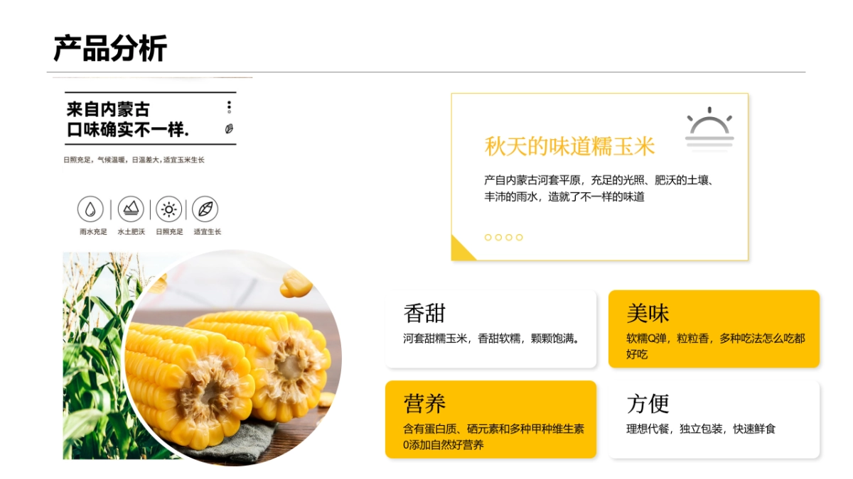 香糯玉米社交媒体推广方案_第4页