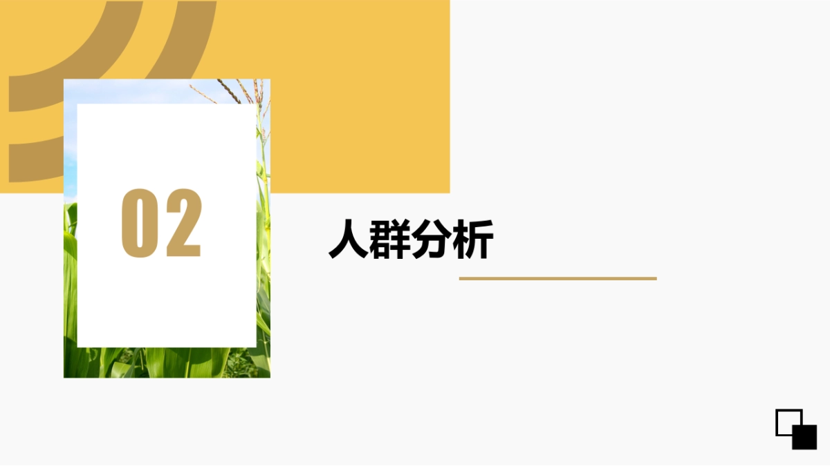 香糯玉米社交媒体推广方案_第5页