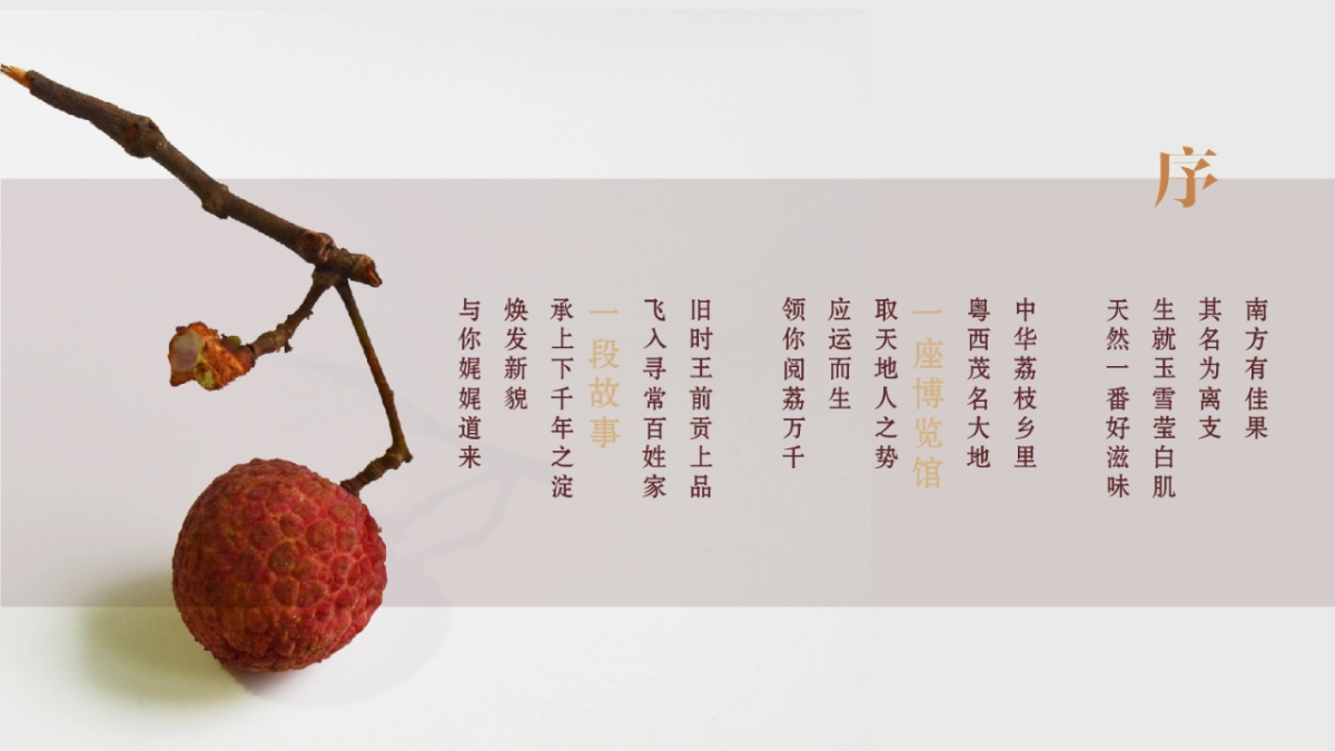 中国荔枝博物馆展示设计规划方案_第4页