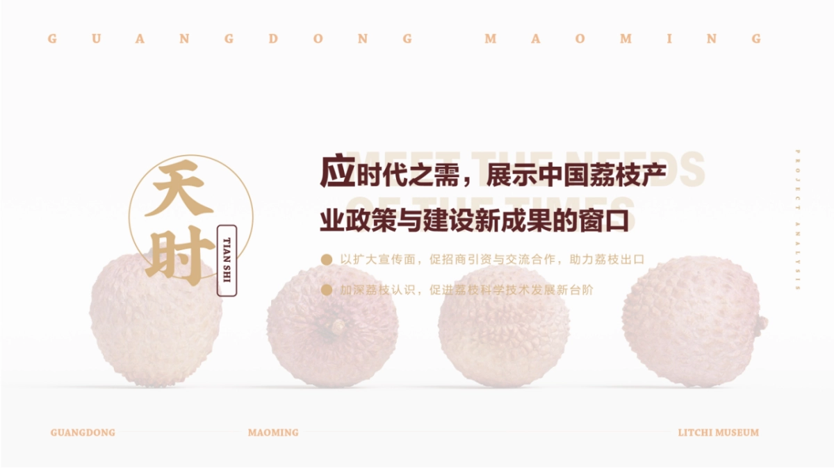 中国荔枝博物馆展示设计规划方案_第7页