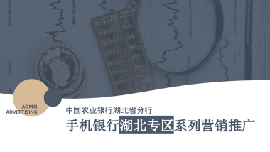 中国农业银行手机银行湖北专区系列营销推广