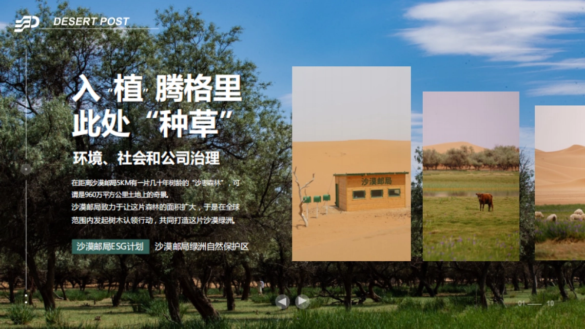 2023沙漠邮局下半年商业化合作计划_第10页