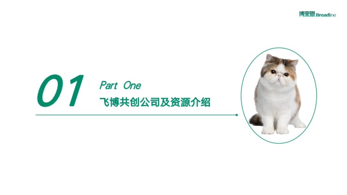 BI博来恩2020年内容营销方案_第3页