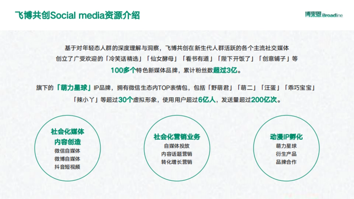 BI博来恩2020年内容营销方案_第7页
