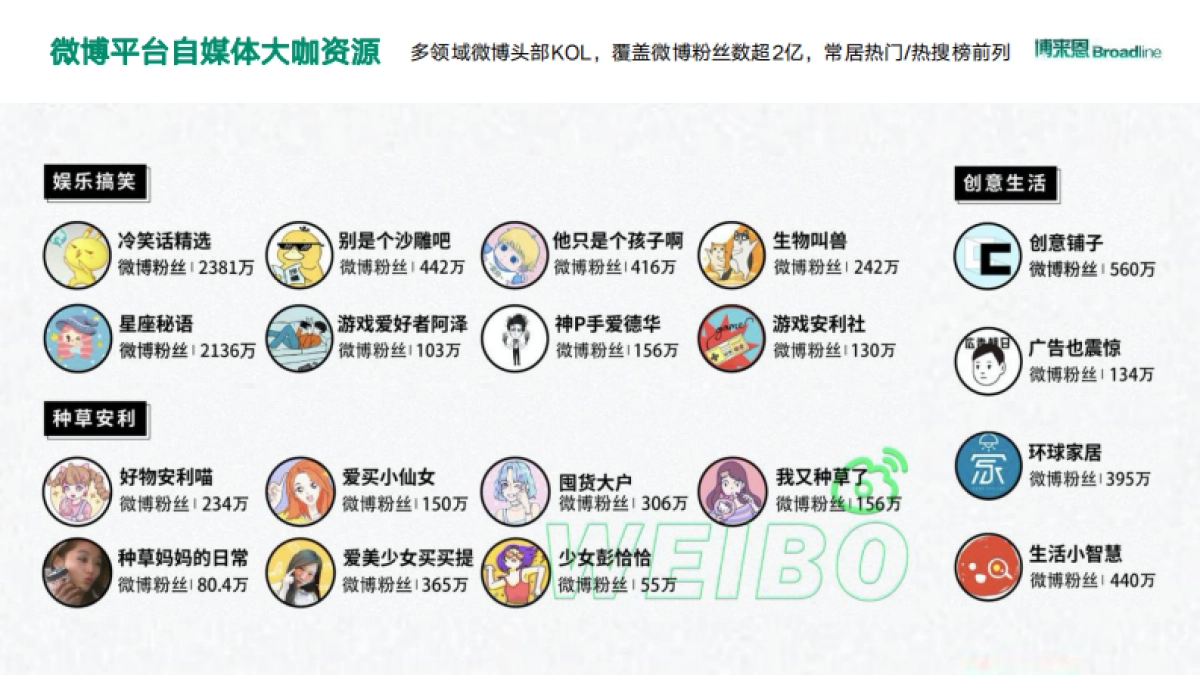 BI博来恩2020年内容营销方案_第9页