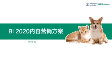 BI博来恩2020年内容营销方案