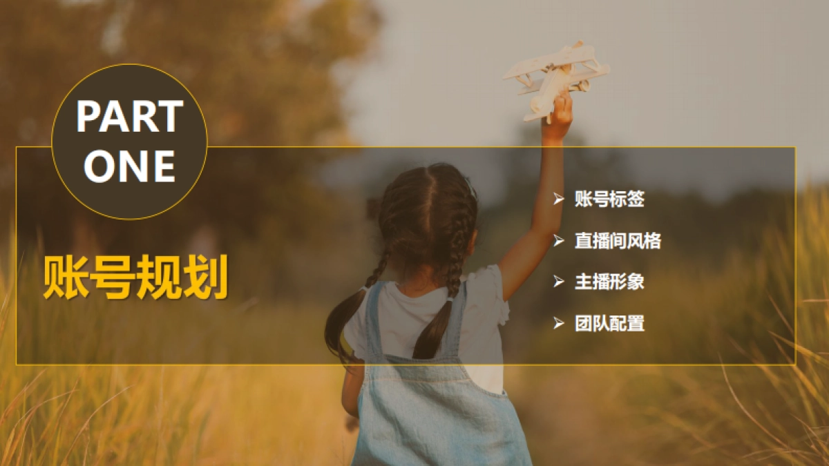 巴拉巴拉童装直播运营方案_第3页