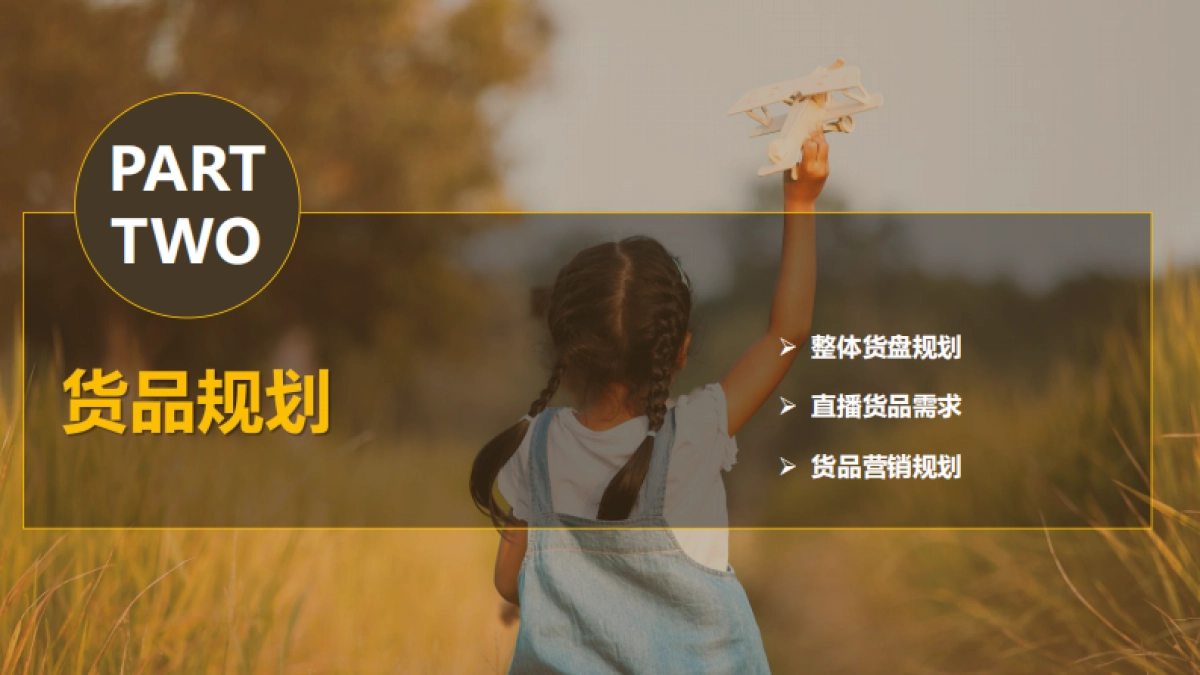 巴拉巴拉童装直播运营方案_第8页