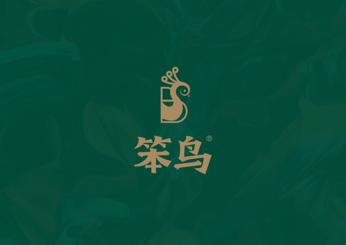 笨鸟鲍鱼鸡煲餐饮品牌手册_第1页
