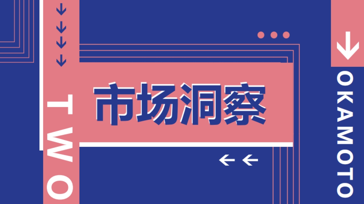 岡本季度线上种草营销方案_第3页