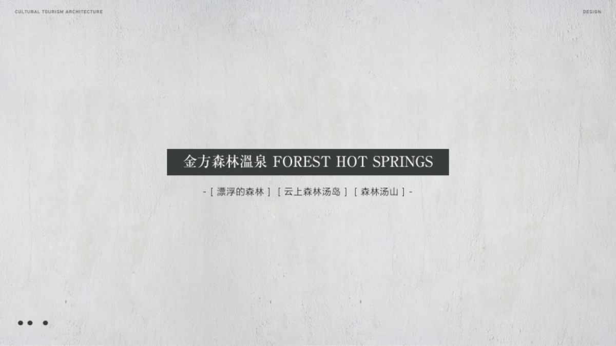 后自然文旅设计_第9页