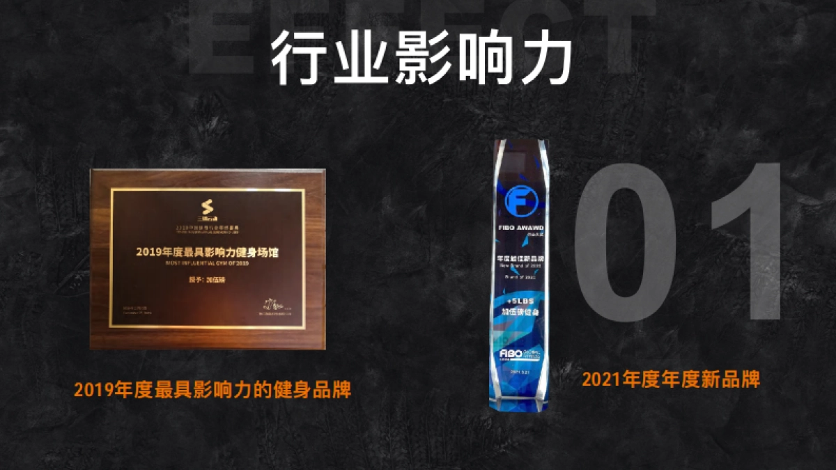 加伍磅品牌手册_第10页