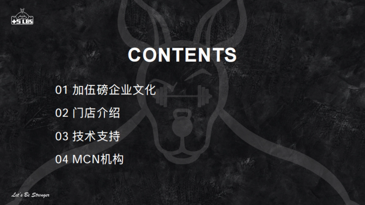 加伍磅品牌手册_第2页