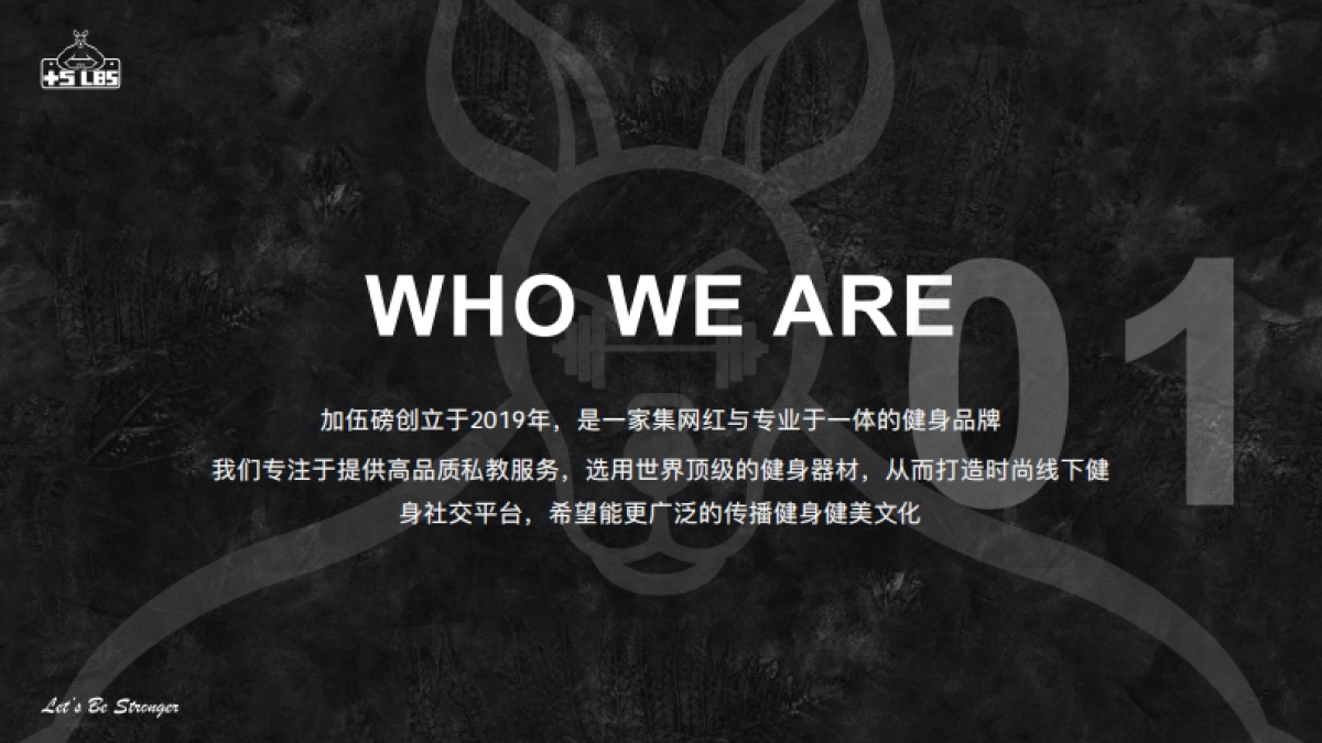 加伍磅品牌手册_第3页