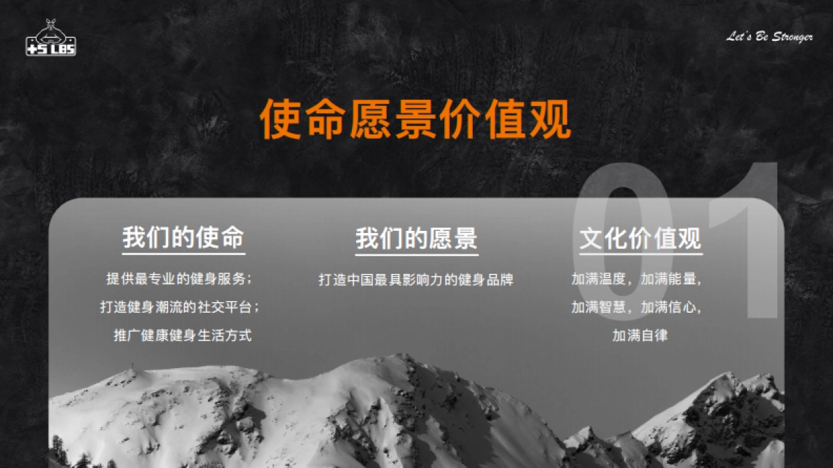 加伍磅品牌手册_第4页