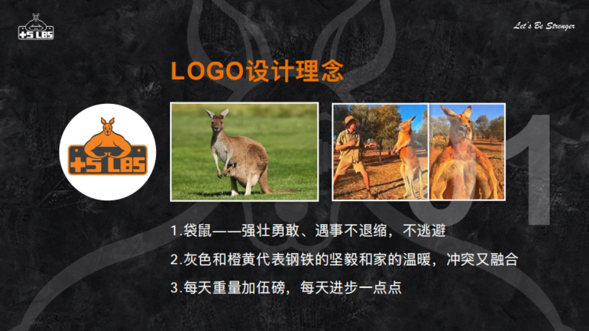 加伍磅品牌手册_第5页