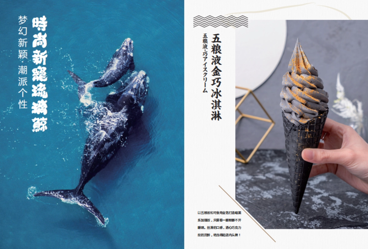 琉璃鲸冰激凌产品画册_第3页