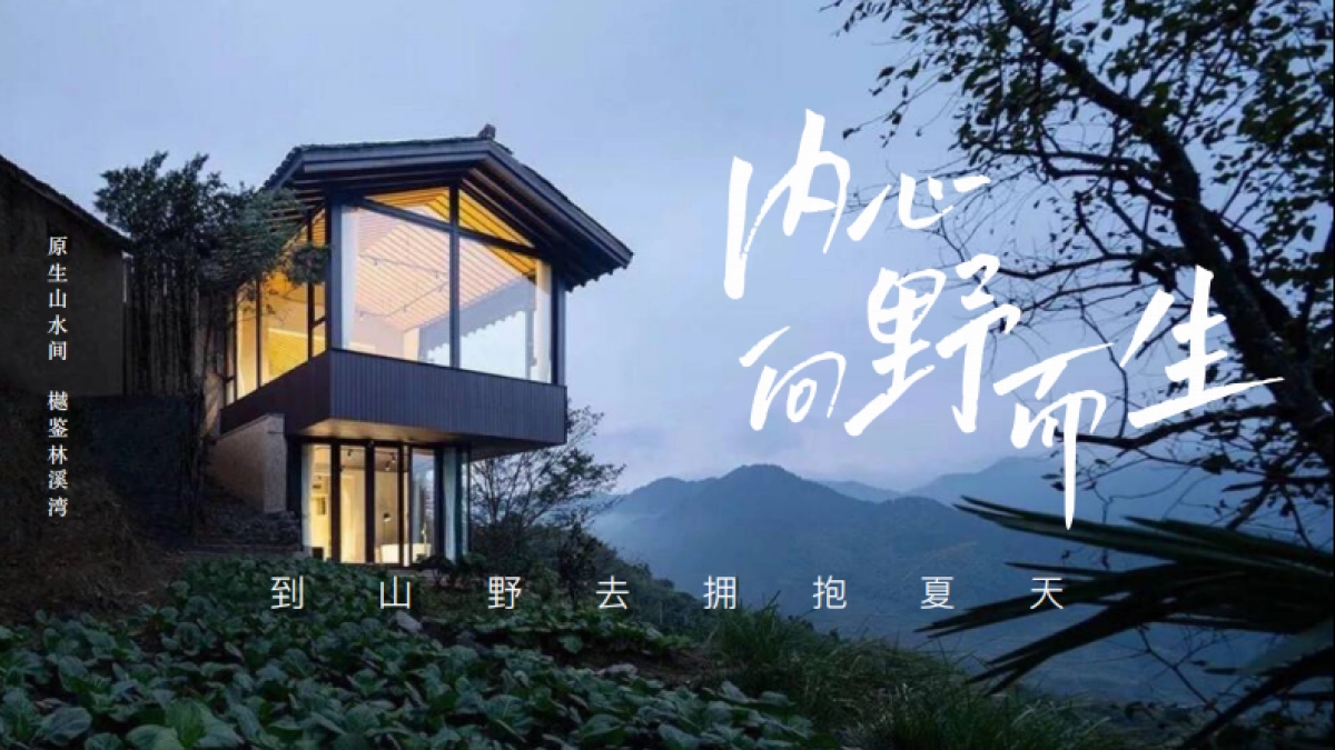 栾川天樾林溪湾示范区开放方案_第10页