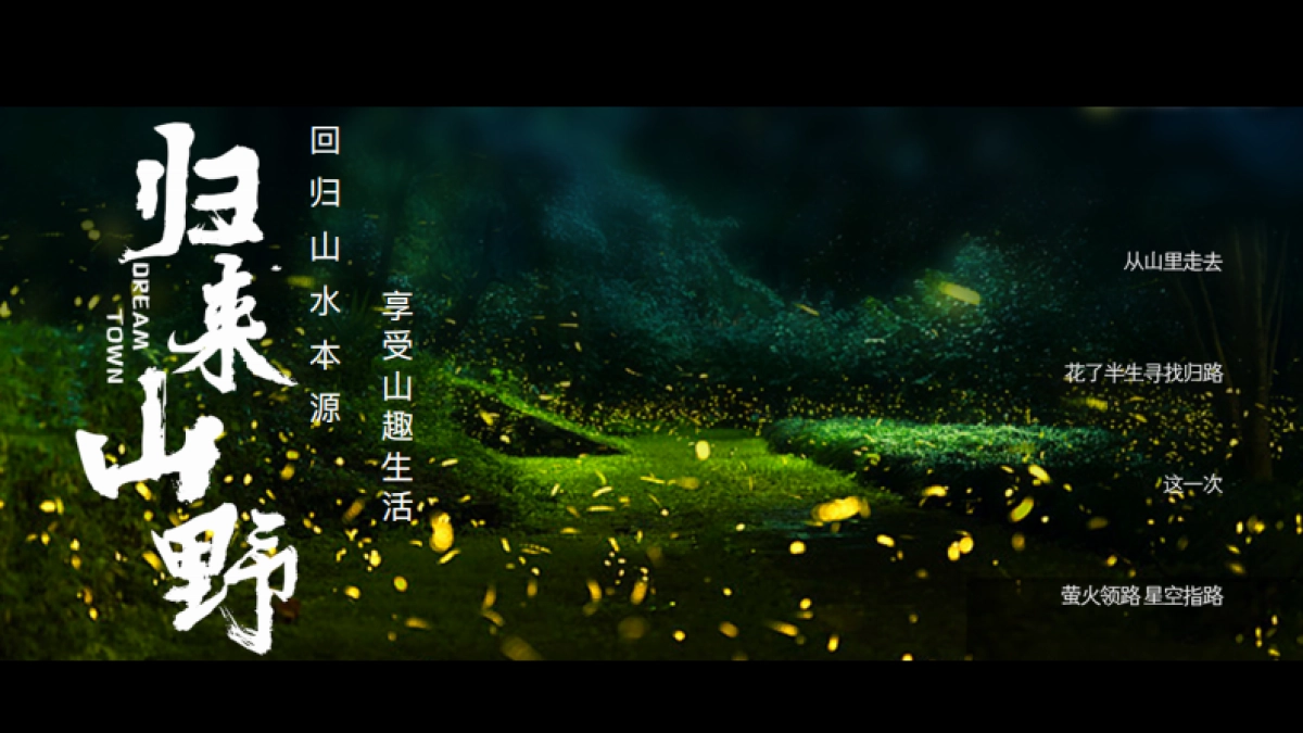 栾川天樾林溪湾示范区开放方案_第4页