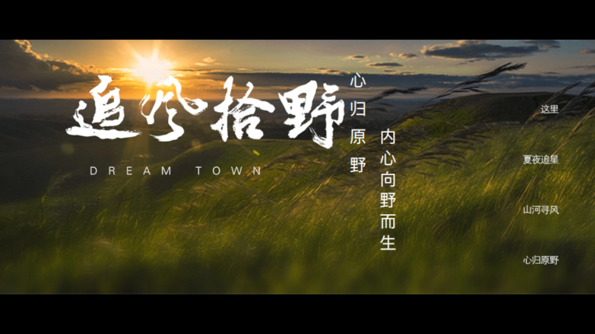 栾川天樾林溪湾示范区开放方案_第5页