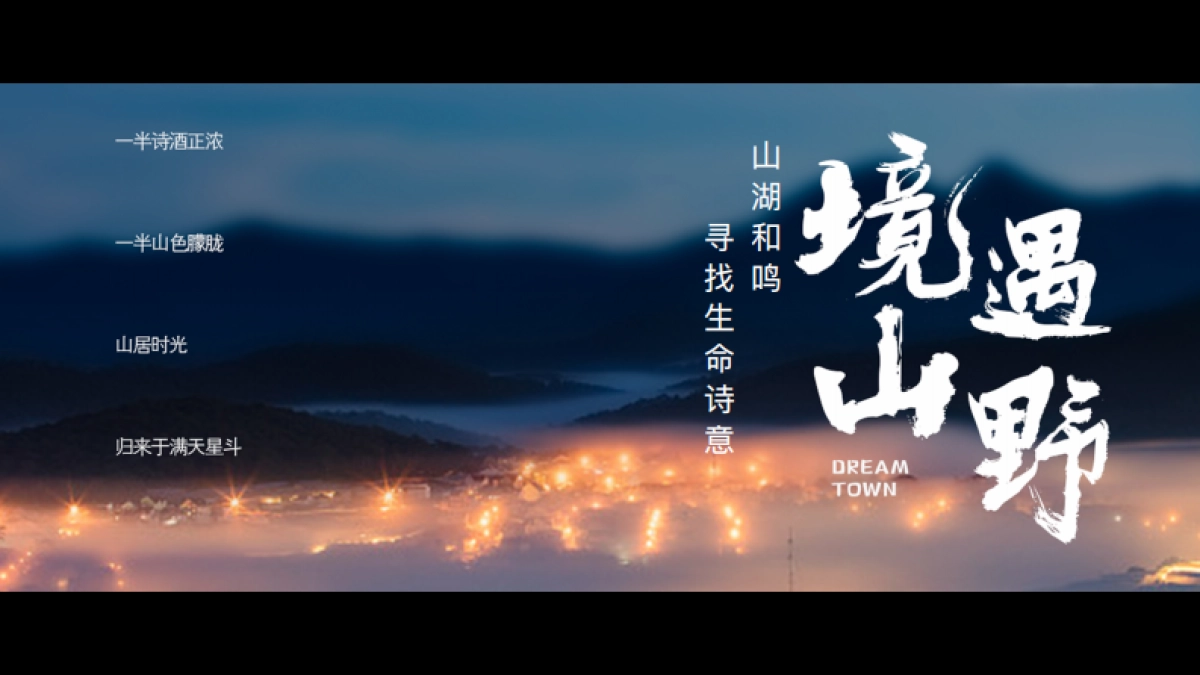 栾川天樾林溪湾示范区开放方案_第9页