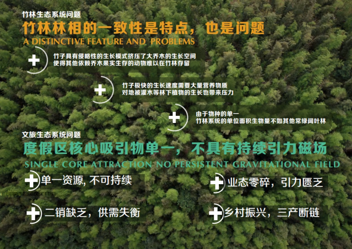 文旅景区竹生态·竹文化国际旅游度假区核心区规划方案_第4页
