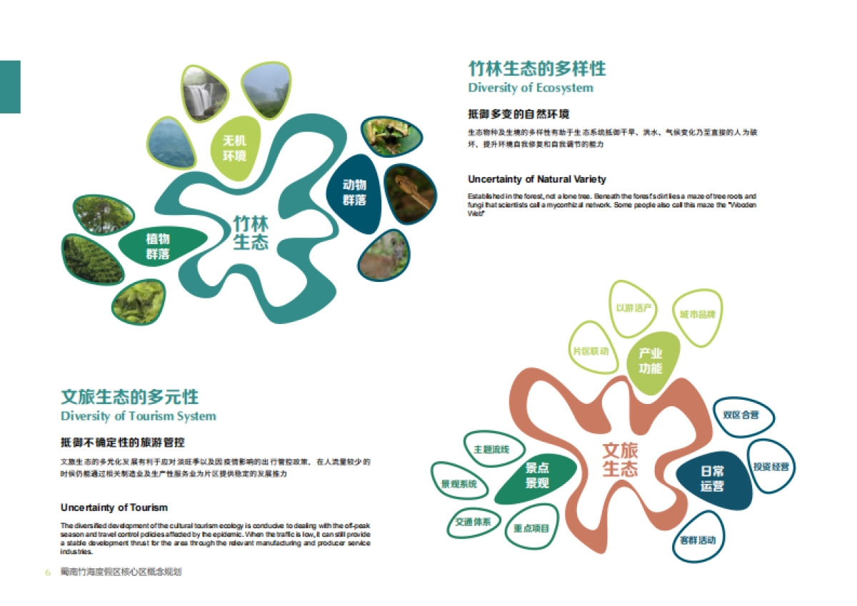 文旅景区竹生态·竹文化国际旅游度假区核心区规划方案_第6页