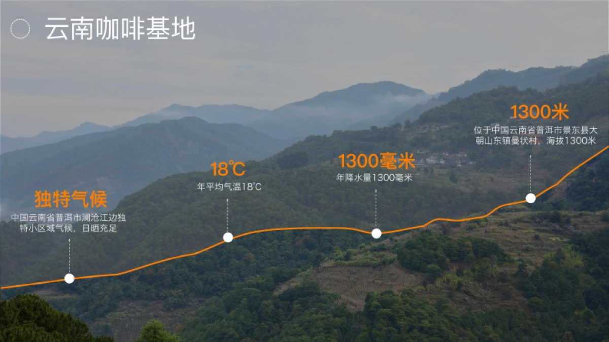 NOWWA 品牌手册_第10页