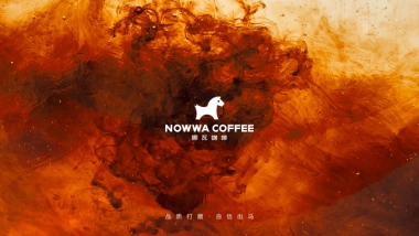 NOWWA 品牌手册