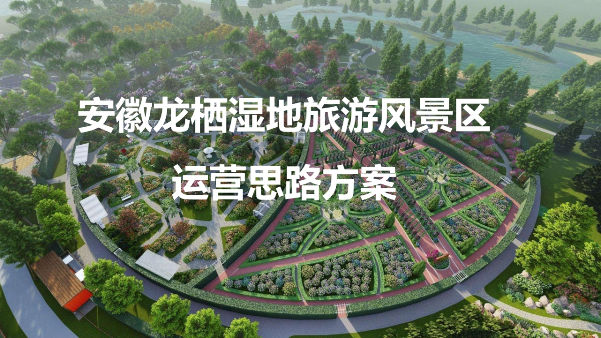 安徽龙栖湿地旅游风景区运营思路方案_第1页