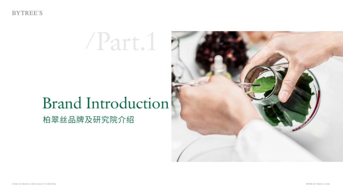 柏翠丝品牌手册_第3页