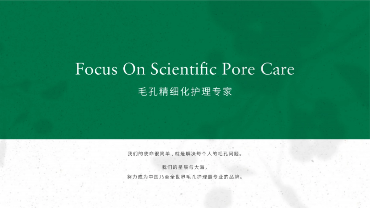 柏翠丝品牌手册_第4页