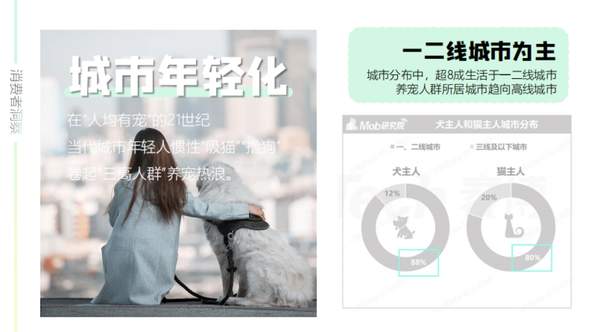 宠物洗护品牌再三SOCIAL事件规划_第10页