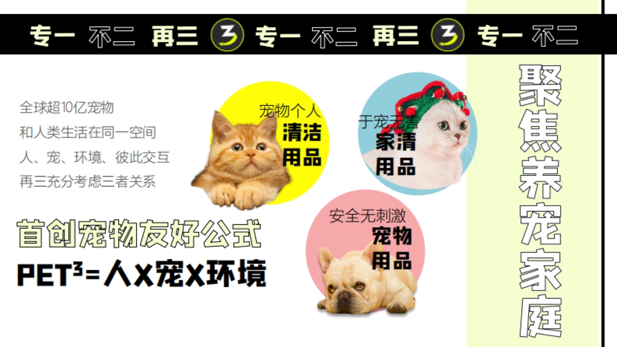 宠物洗护品牌再三SOCIAL事件规划_第3页