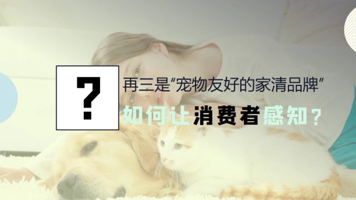 宠物洗护品牌再三SOCIAL事件规划_第4页