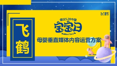 飞鹤宝宝日垂媒运营方案