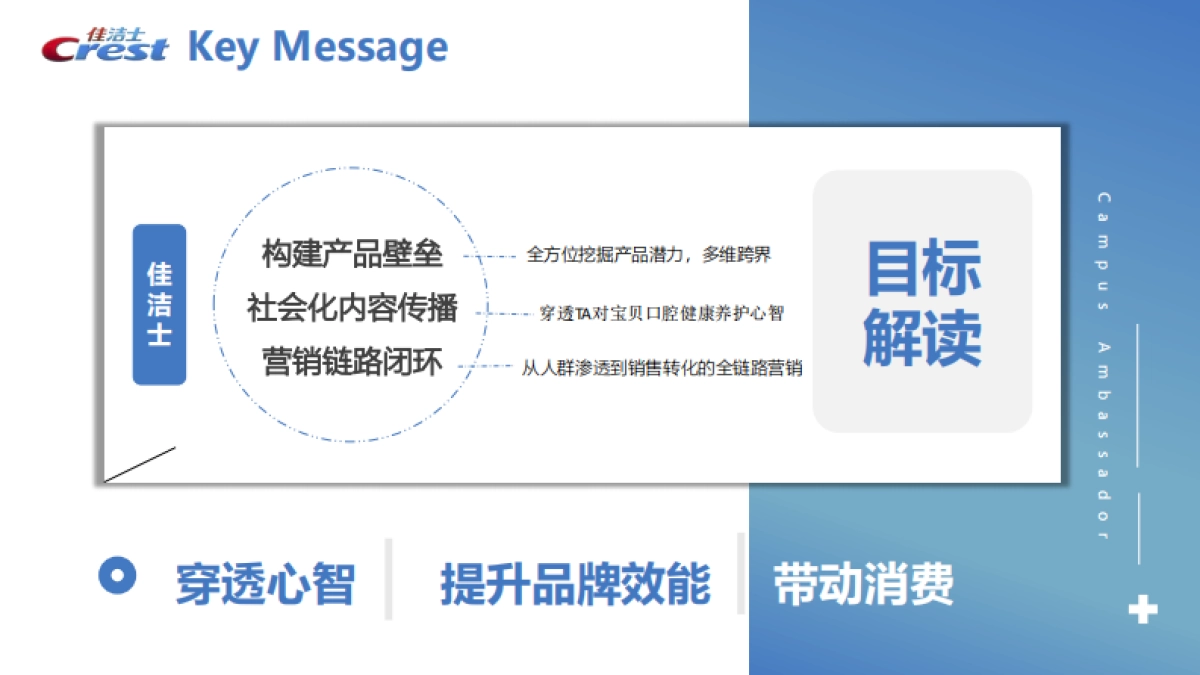 佳洁士儿童牙膏营销方案_第4页