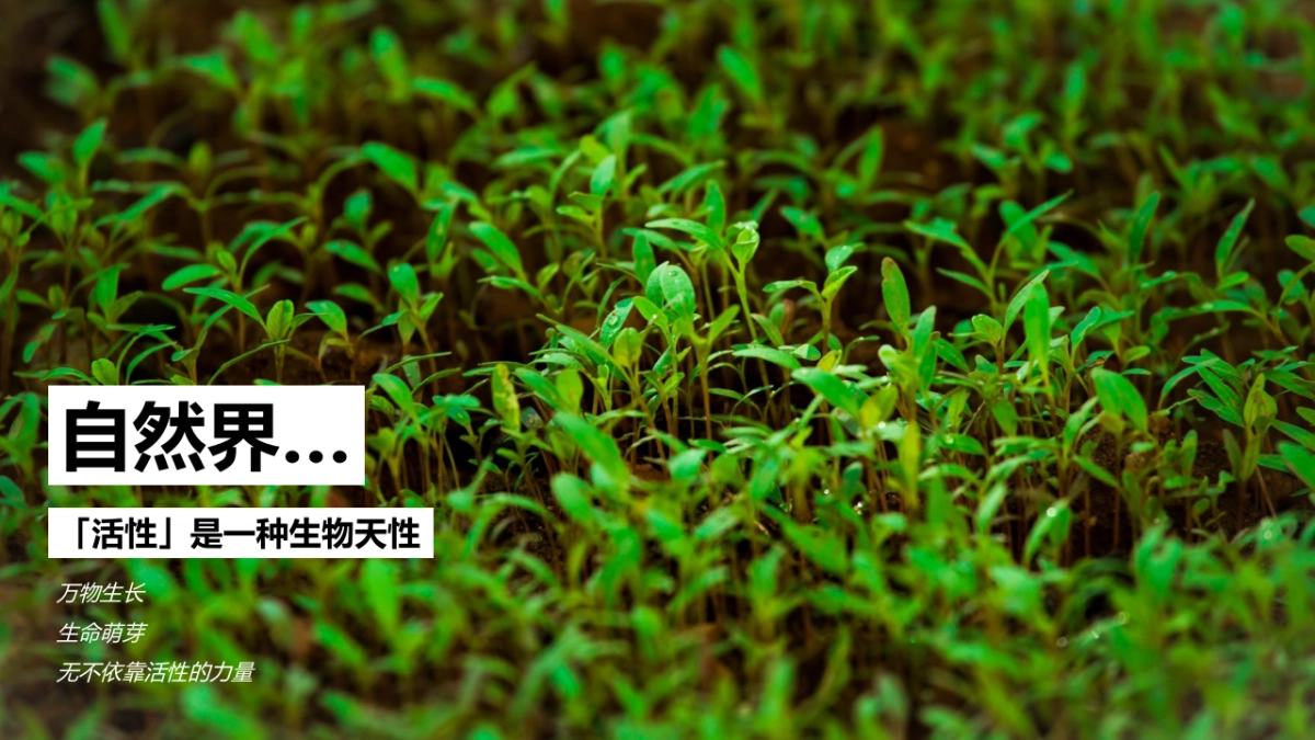 蓝钻启赋爱尔兰溯源整合营销方案_第10页