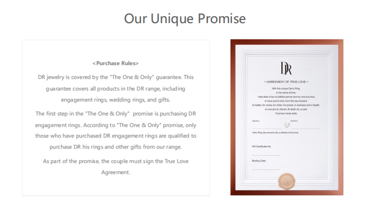 品牌手册丨珠宝品牌DR_第10页