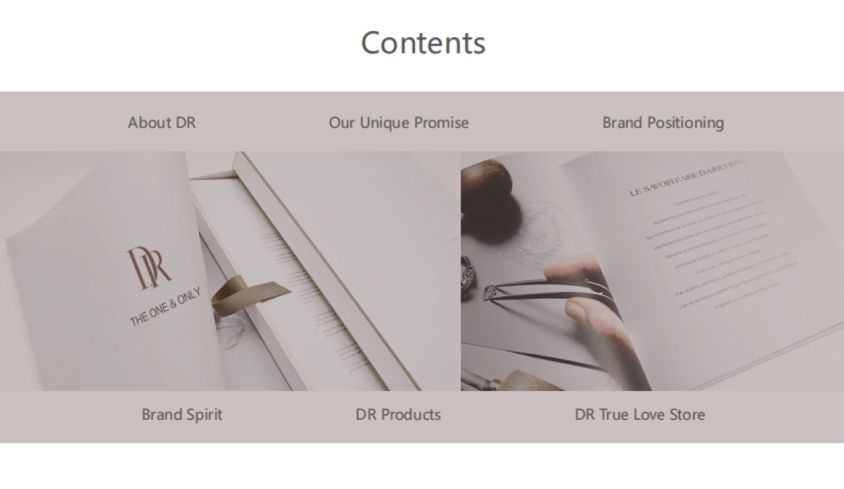 品牌手册丨珠宝品牌DR_第2页