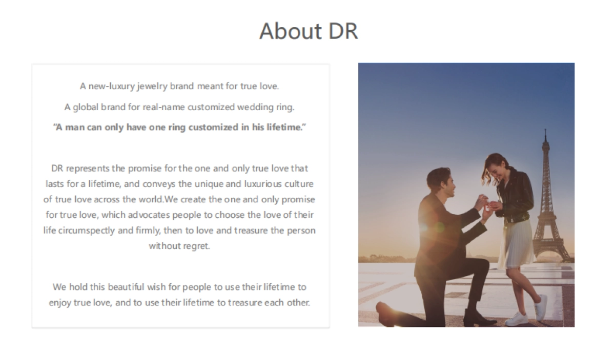 品牌手册丨珠宝品牌DR_第3页