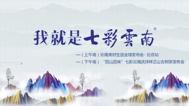 七彩云南生活方式发布会（汇报）