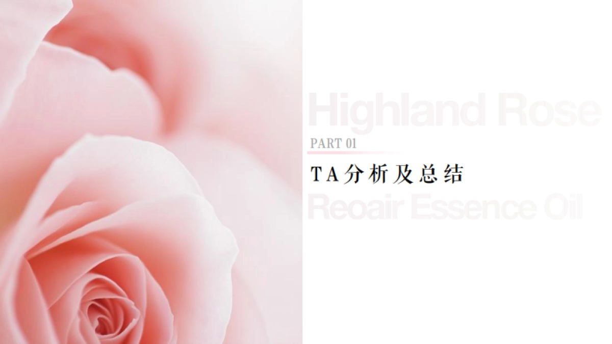 启然玫瑰精华油小红书种草方案_第3页