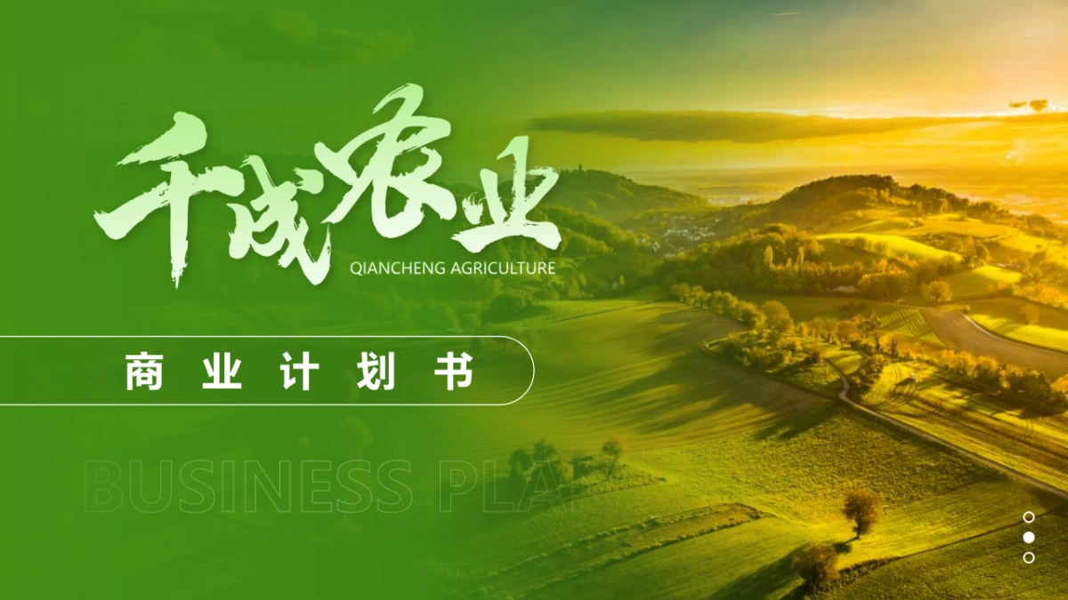 全域化布局农业商业计划书_第1页